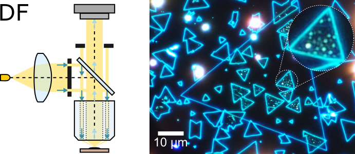 Optical scheme DF